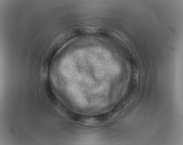 X0000113540507200910091246