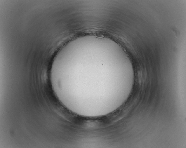 X0000113540508200910091246