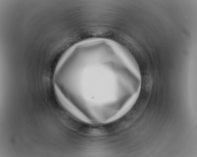 X0000113540510200910091246