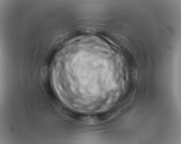 X0000113540511200910091246