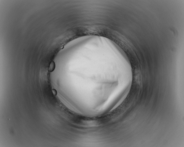 X0000113540514200910091246
