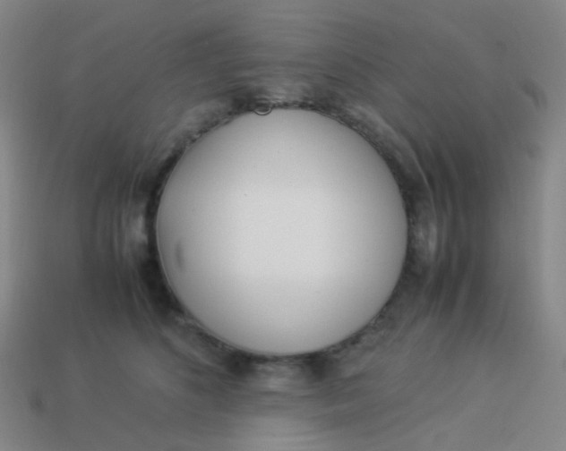 X0000113540516200910091246