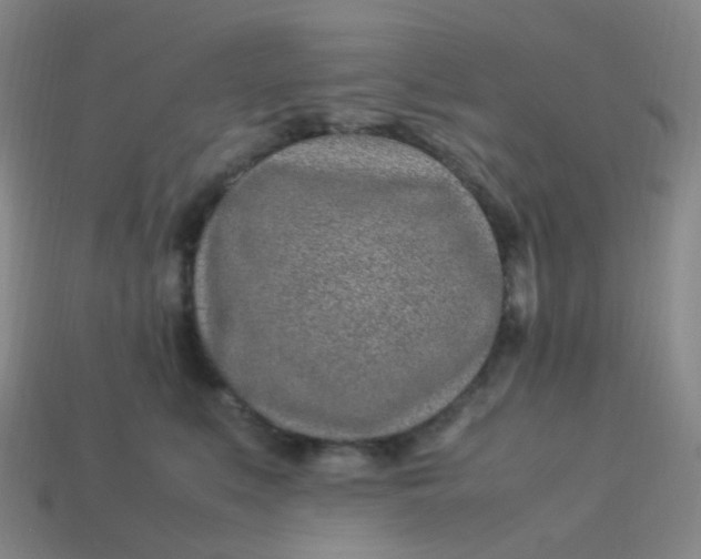 X0000113540519200910091246