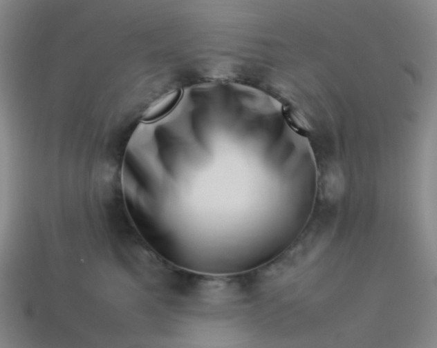 X0000113540521200910091246