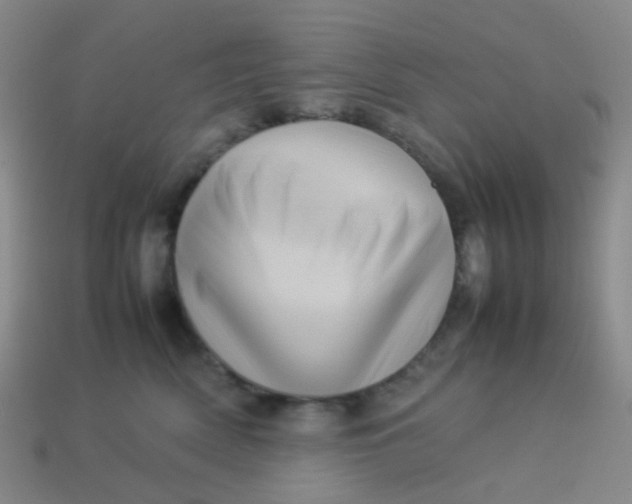 X0000113540522200910091246