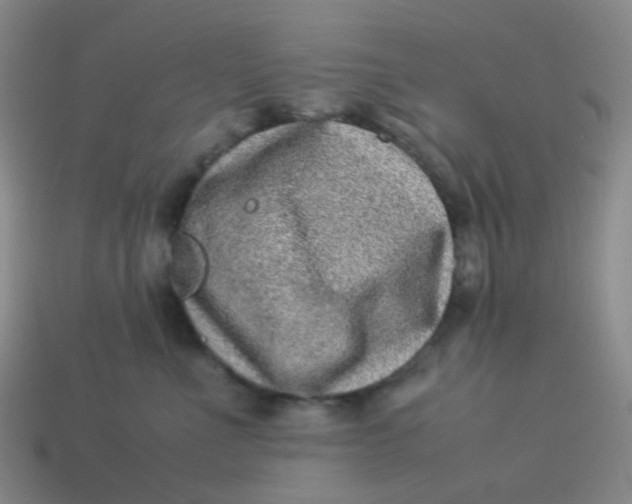 X0000113540523200910091246
