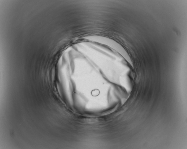 X0000113540524200910091246