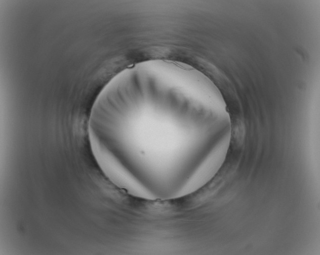 X0000113540525200910091246