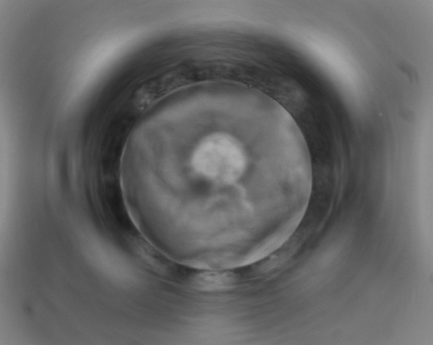 X0000113540526200910091246