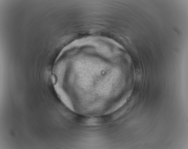 X0000113540527200910091246