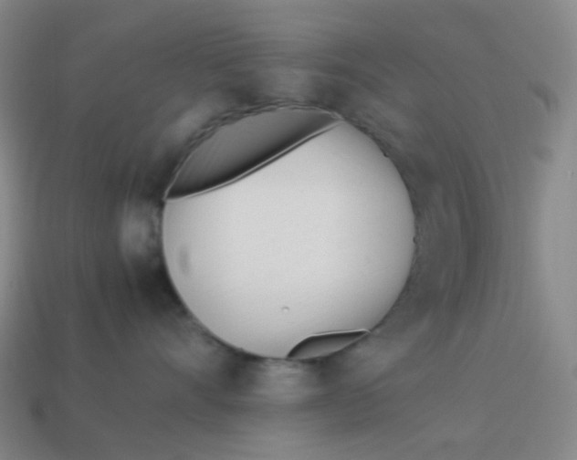 X0000113540528200910091245