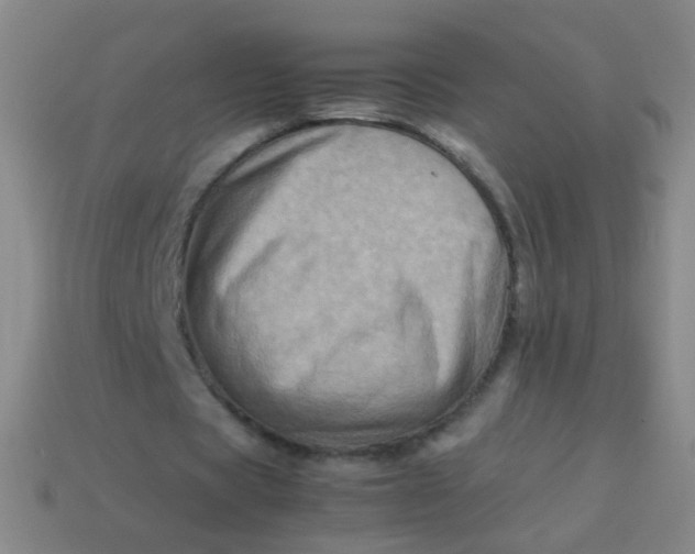 X0000113540529200910091245