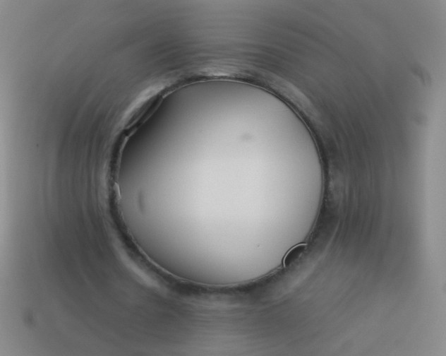 X0000113540530200910091245