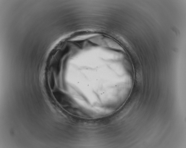 X0000113540532200910091245