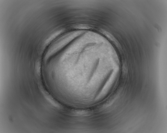 X0000113540533200910091245