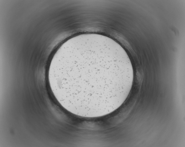 X0000113540534200910091245