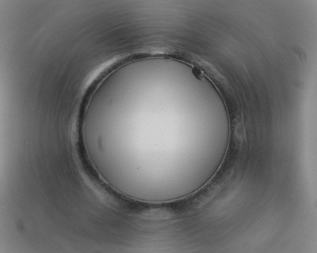 X0000113540536200910091245