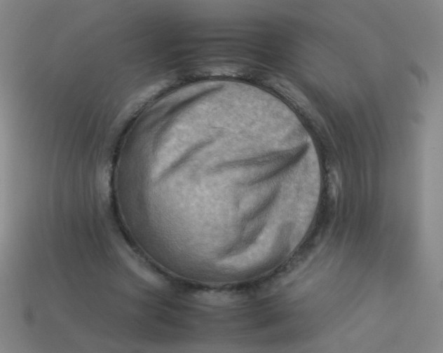 X0000113540537200910091245