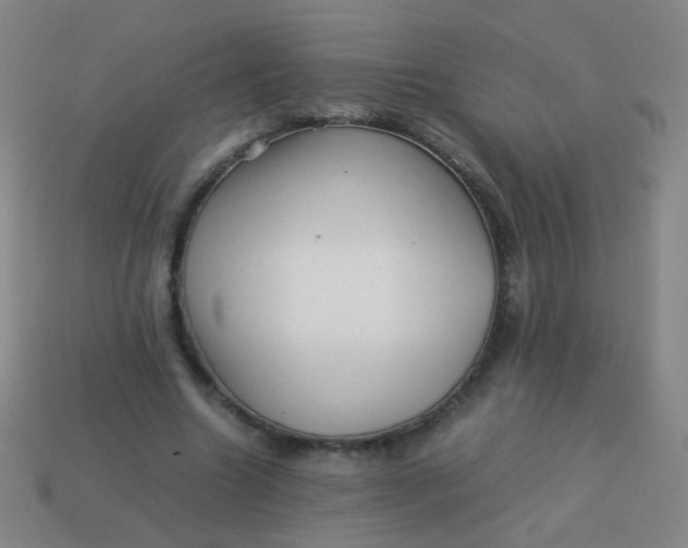 X0000113540538200910091245