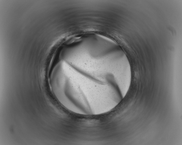 X0000113540539200910091245