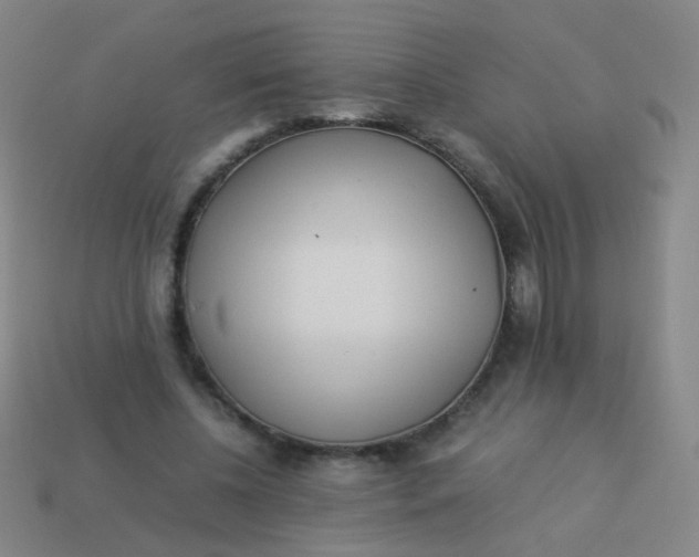 X0000113540540200910091245