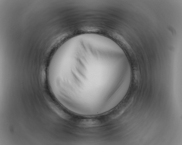 X0000113540541200910091245