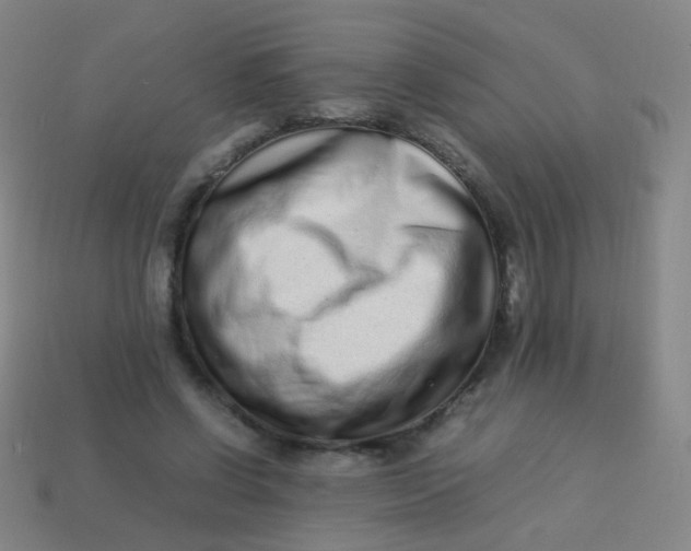 X0000113540542200910091245