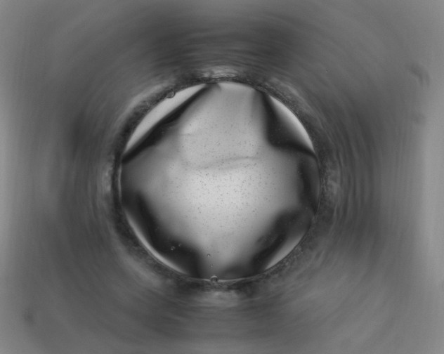 X0000113540543200910091245