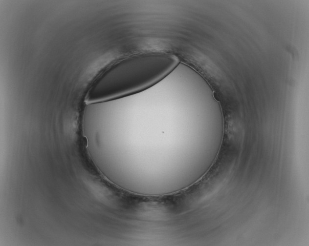 X0000113540544200910091245