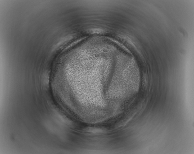 X0000113540545200910091245