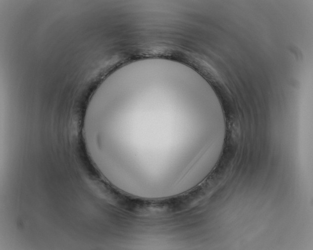 X0000113540546200910091245