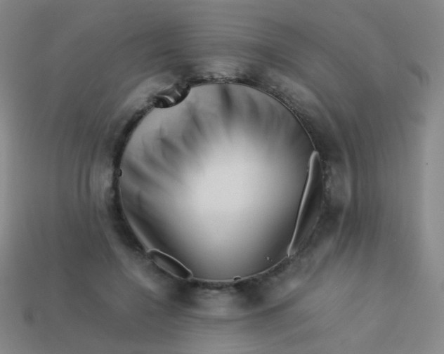 X0000113540548200910091245