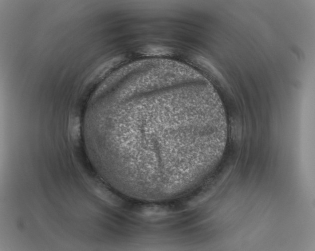 X0000113540549200910091245