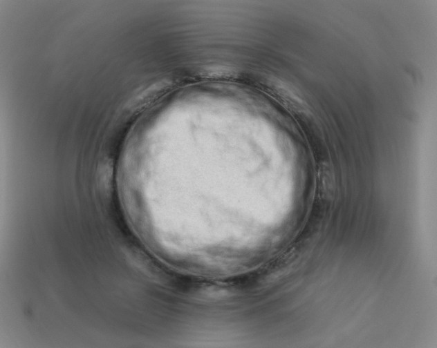 X0000113540550200910091245