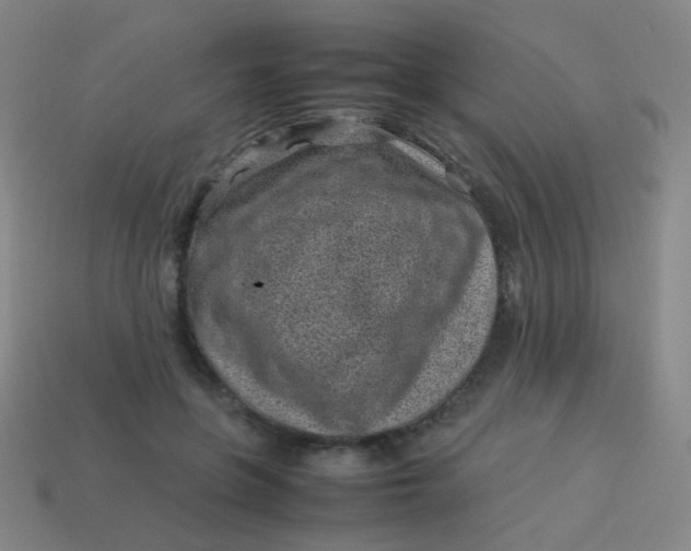 X0000113540551200910091245