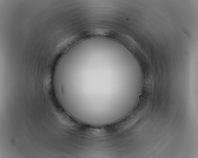 X0000113540552200910091245
