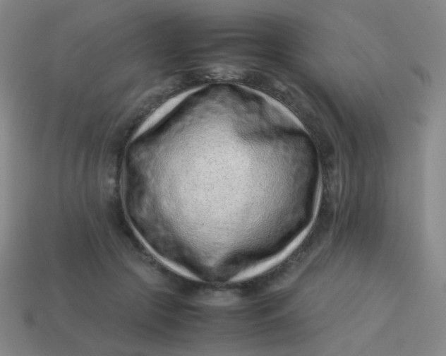 X0000113540553200910091245