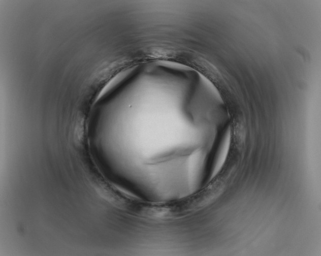 X0000113540554200910091245