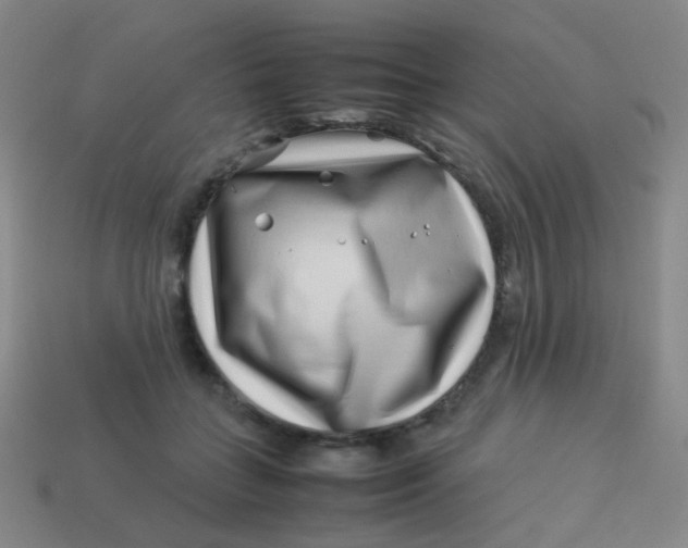 X0000113540555200910091245