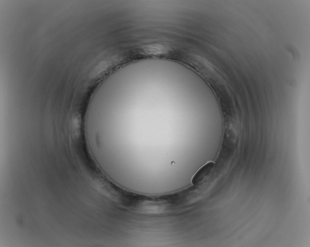 X0000113540556200910091245