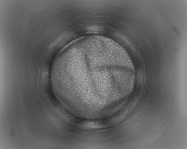 X0000113540557200910091245