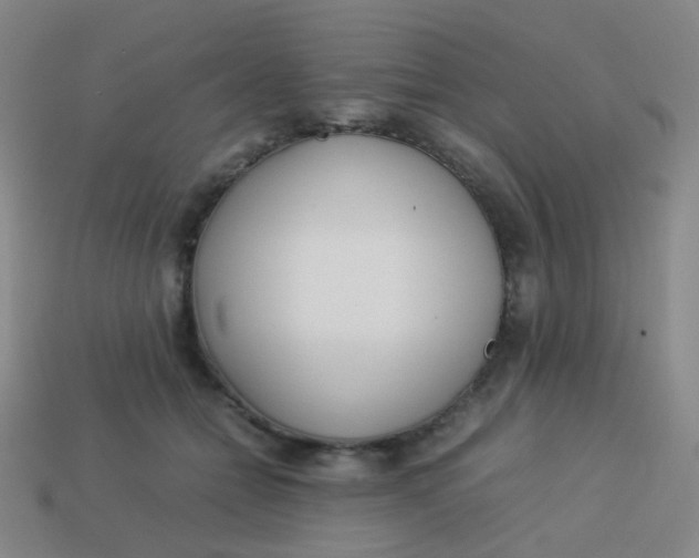 X0000113540558200910091245