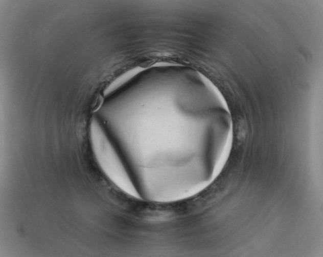 X0000113540559200910091245