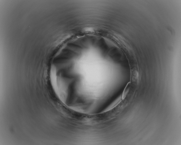 X0000113540560200910091245