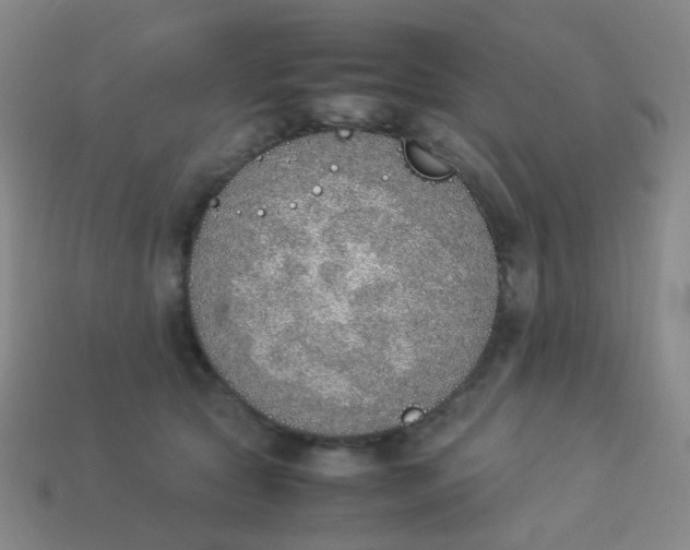 X0000113540561200910091245