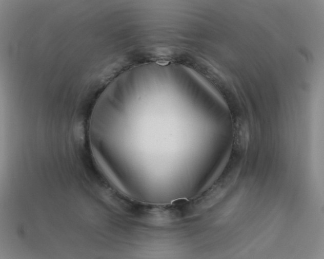 X0000113540562200910091245