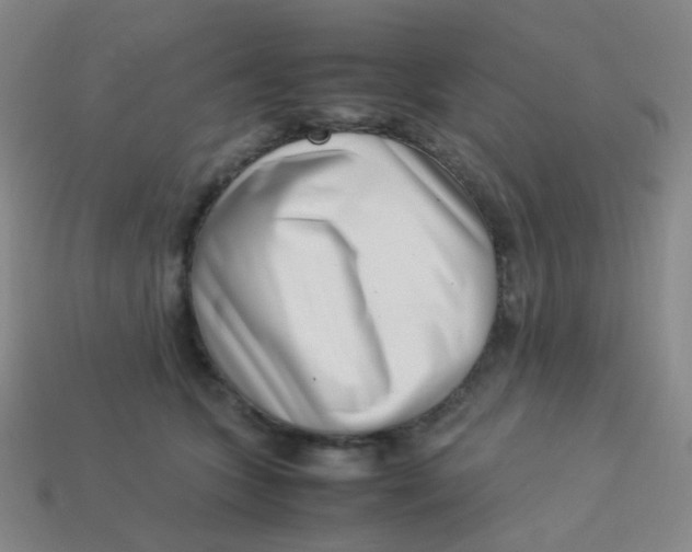 X0000113540563200910091245