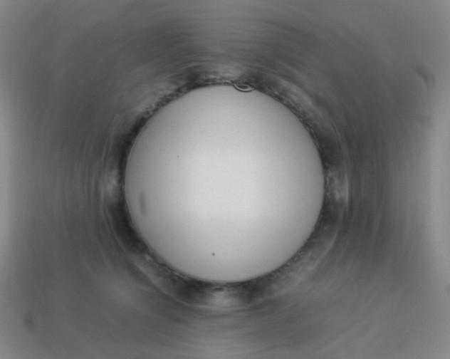 X0000113540564200910091245