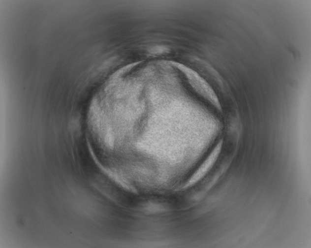 X0000113540565200910091245