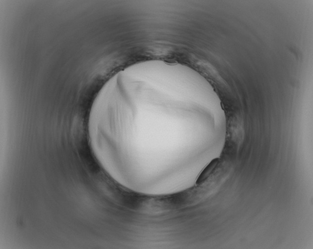 X0000113540568200910091245
